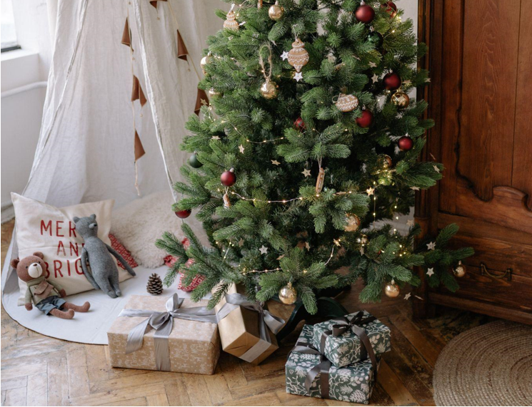 The Beauty of Skinny Christmas Trees: Memories, Kindness, and Charity