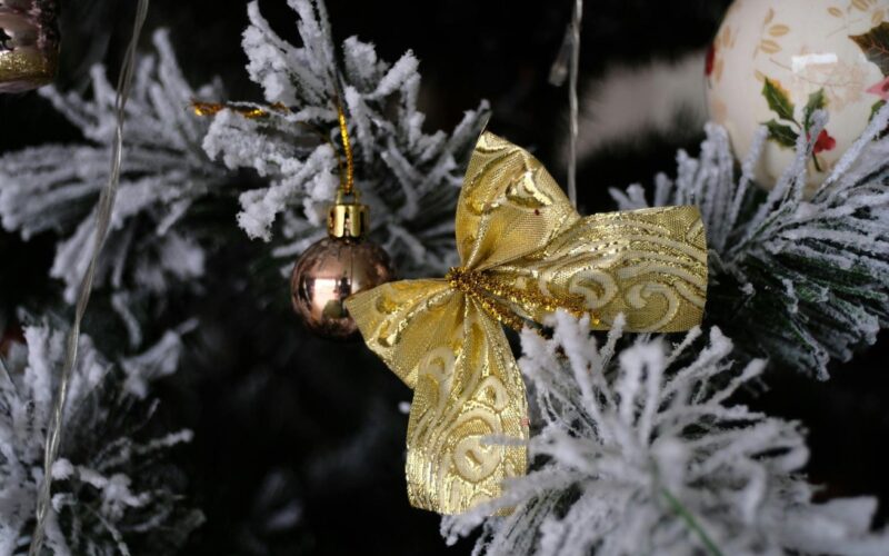 Transform Your Holidays with a Skinny Christmas Tree