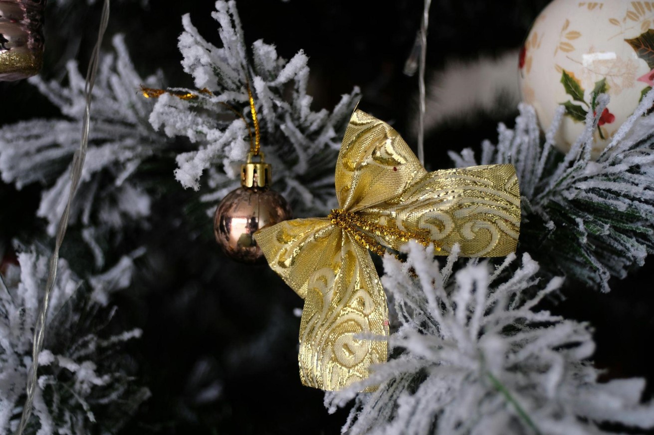 Transform Your Holidays with a Skinny Christmas Tree